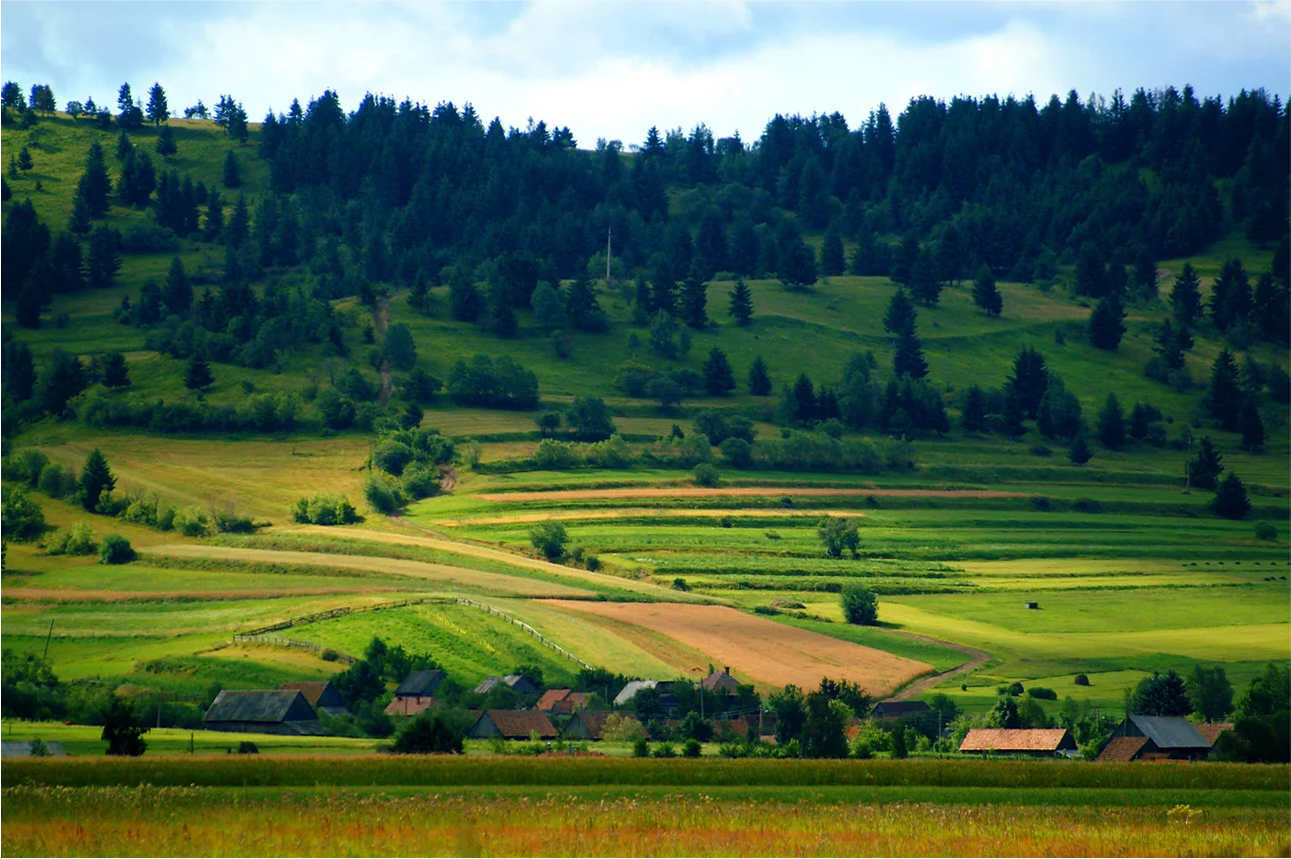 Page header